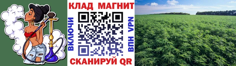 Alpha-PVP Гвардейск