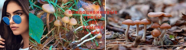 мефедрон мука Алзамай