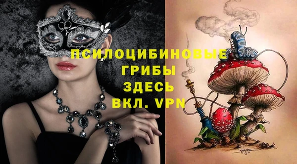 СК Алексеевка