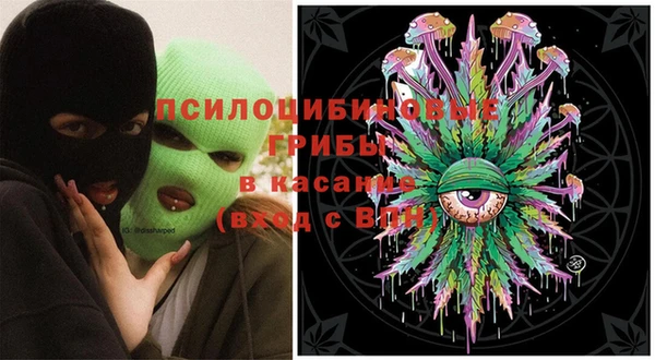 СК Алексеевка