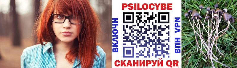 Псилоцибиновые грибы прущие грибы  mega зеркало  Гвардейск 